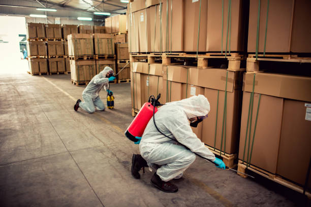 Best Local Pest Control Services  in Hearne, TX