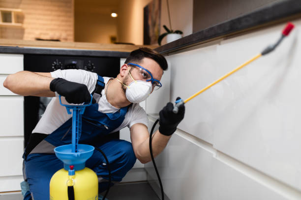 Best Residential Pest Control  in Hearne, TX