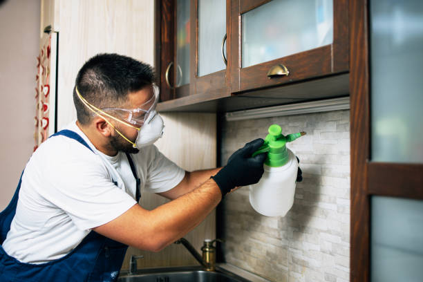 Best Commercial Pest Control Services  in Hearne, TX