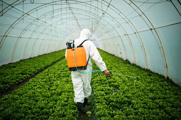 Best Affordable Pest Control Services  in Hearne, TX