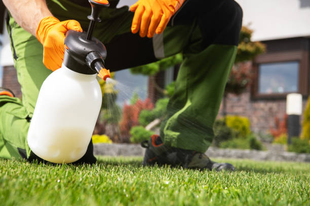 Best Wildlife Control Services  in Hearne, TX
