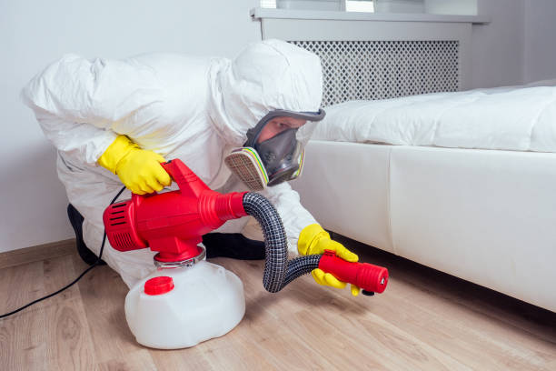 Flea Control Services in Hearne, TX