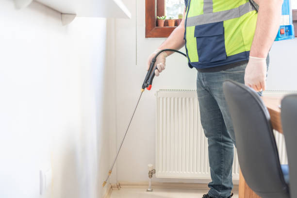 Best Flea Control Services  in Hearne, TX