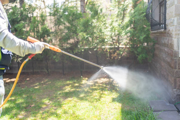 Best Affordable Pest Control Services  in Hearne, TX