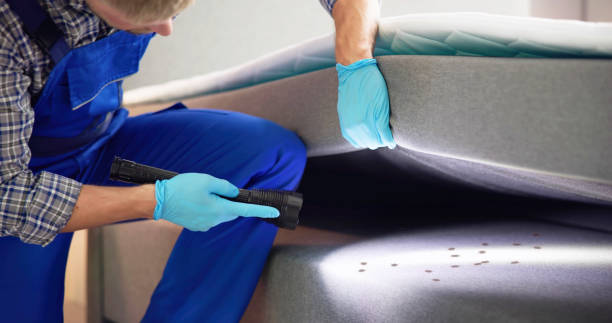 Best Exterminator Services  in Hearne, TX