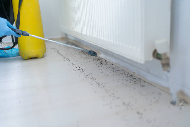 Professional Pest Control in Hearne, TX