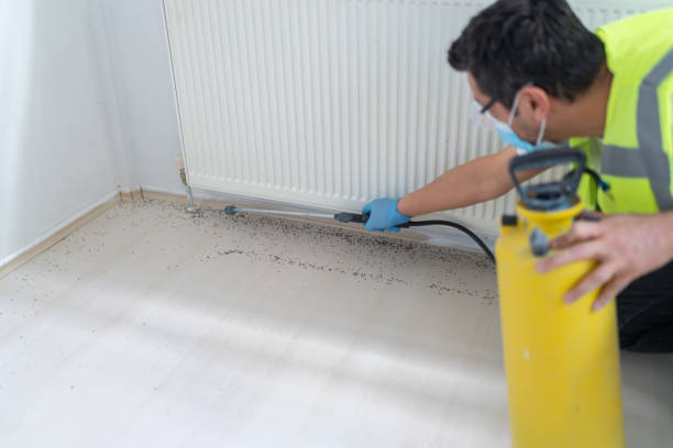 Best Best Pest Control Companies  in Hearne, TX