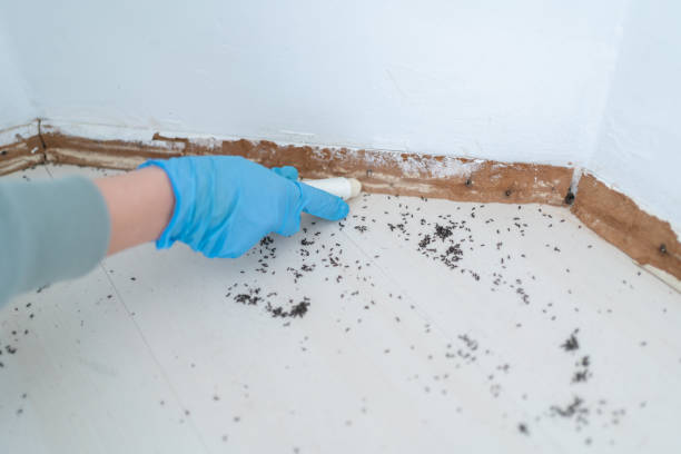 Best Wildlife Control Services  in Hearne, TX